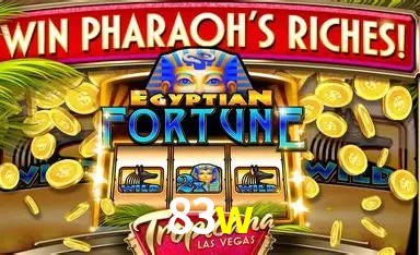 Design Responsivo 83w